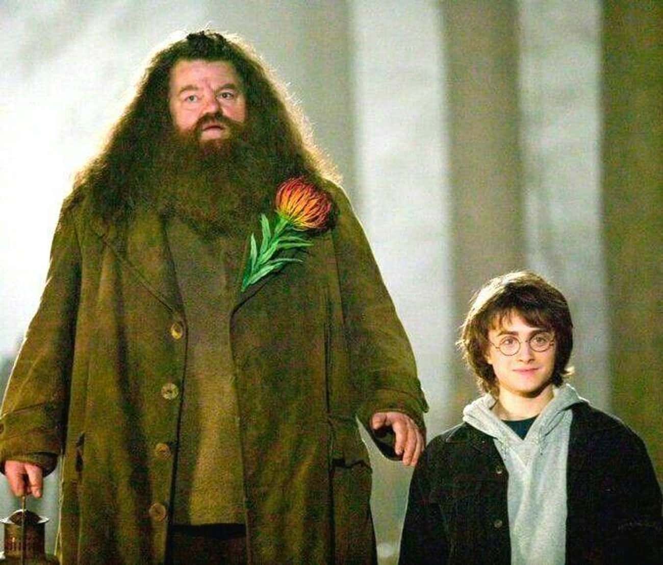 Hagrid's Version Of 'It Is What It Is' In 'The Goblet Of Fire'