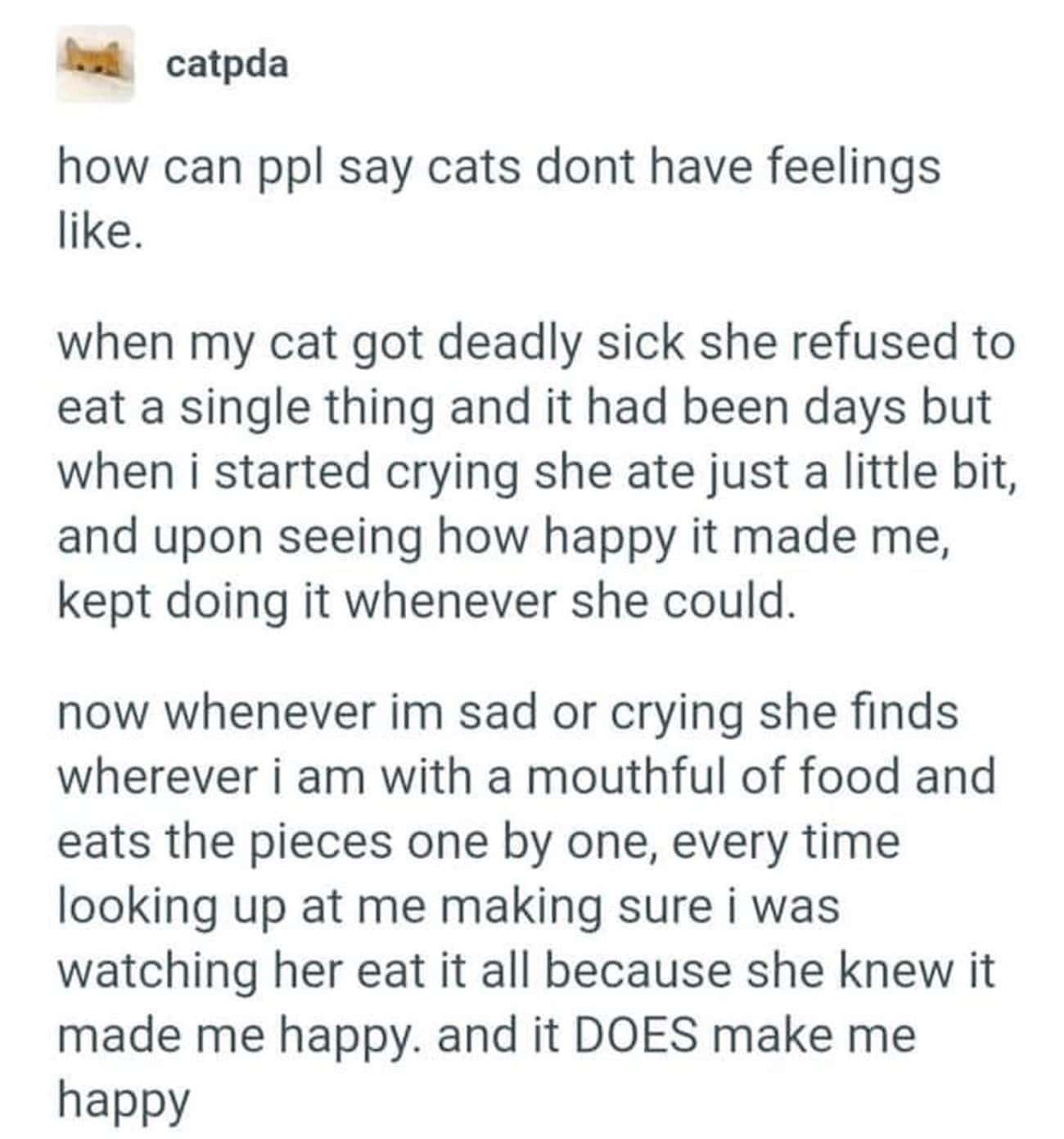 What This Cat Does To Make Their Human Happy