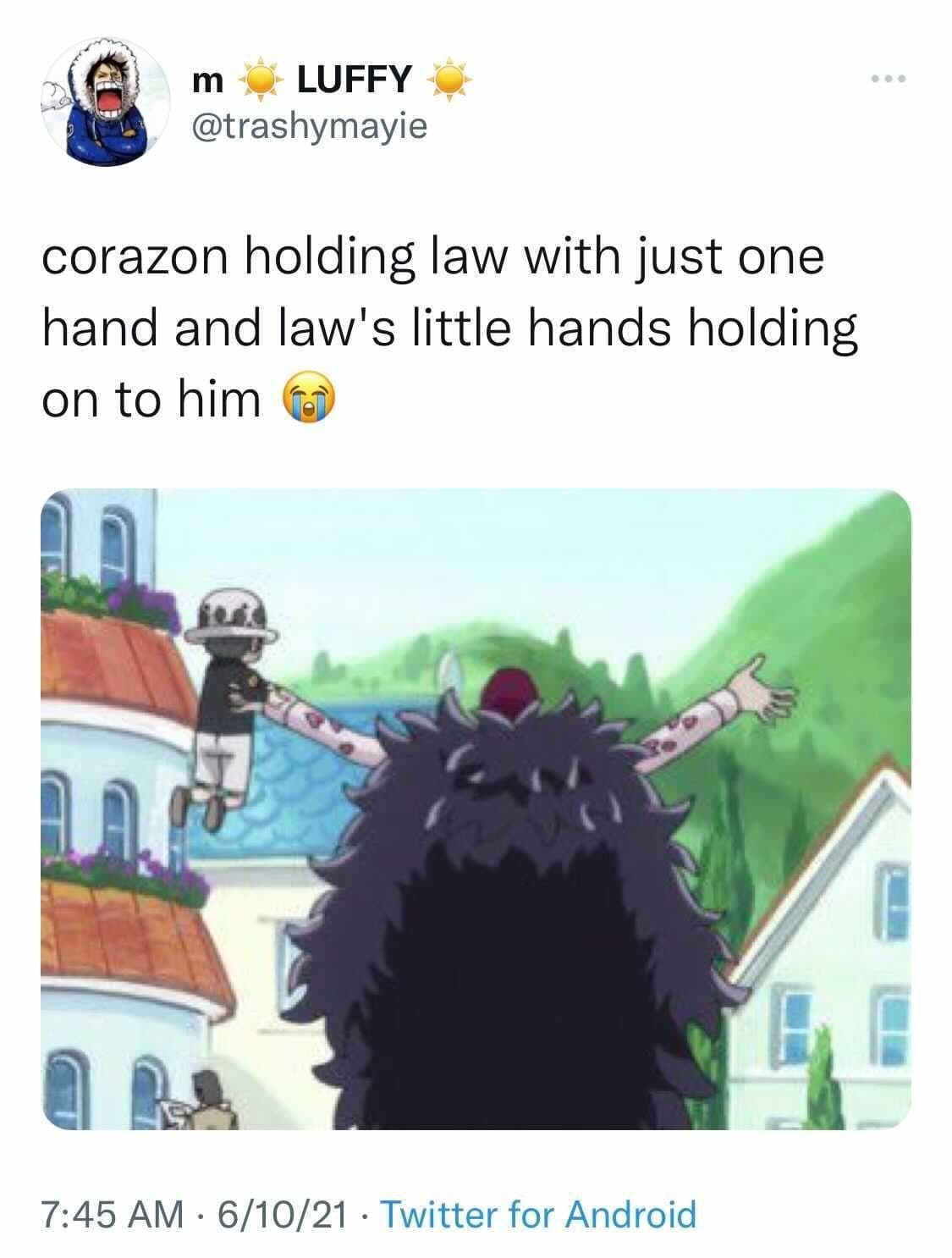 17 Fans Share Something About Trafalgar Law We Never Noticed Before