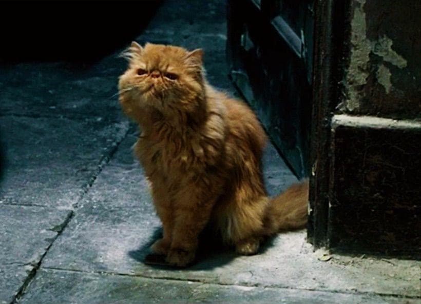 Things You Didn't Know About 'The Prisoner Of Azkaban' If You've Only