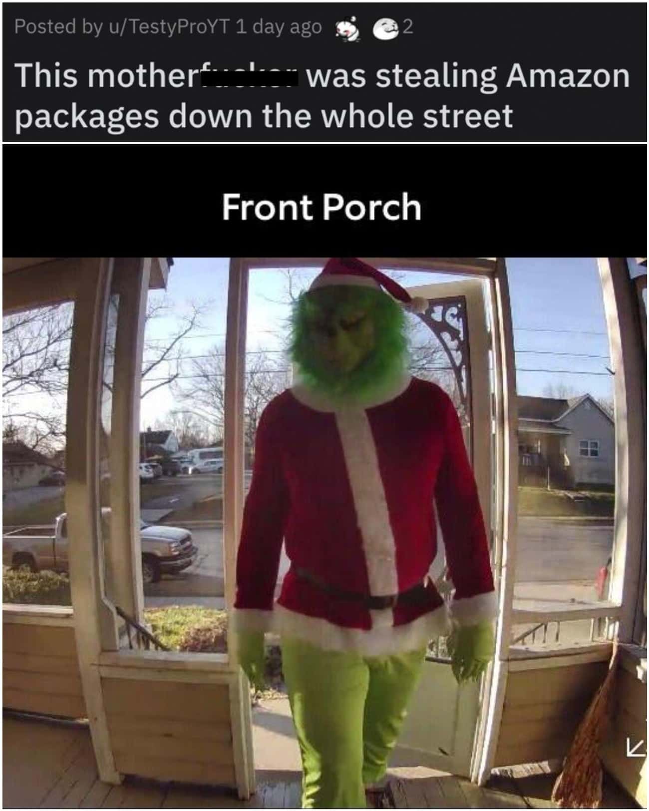 The Grinch In Real Life