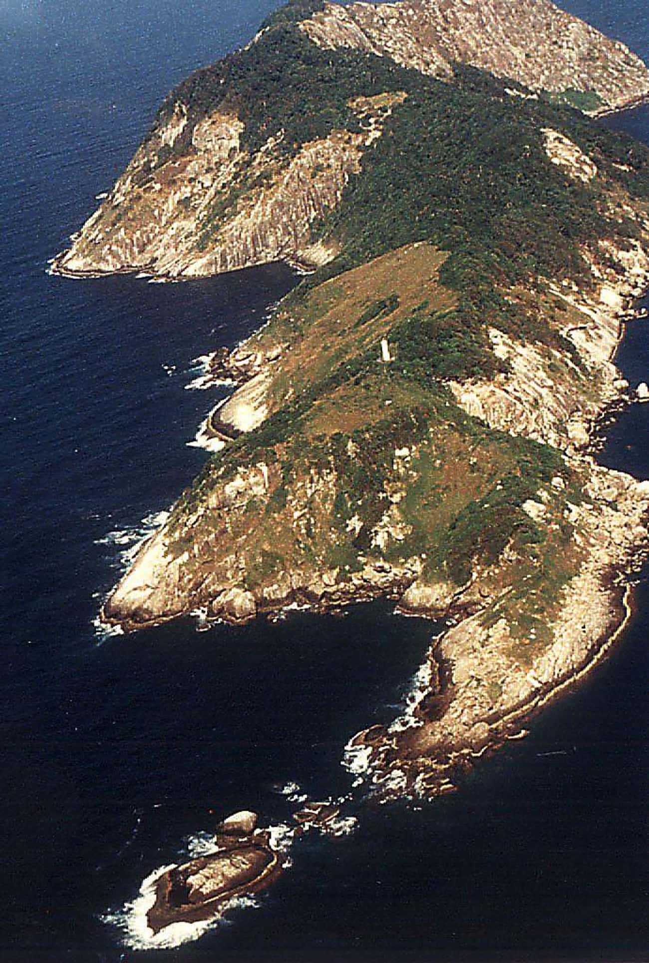 Ilha De Queimada Grande Is So Overrun With Lethal Snakes, It's Usually Just Called 'Snake Island'