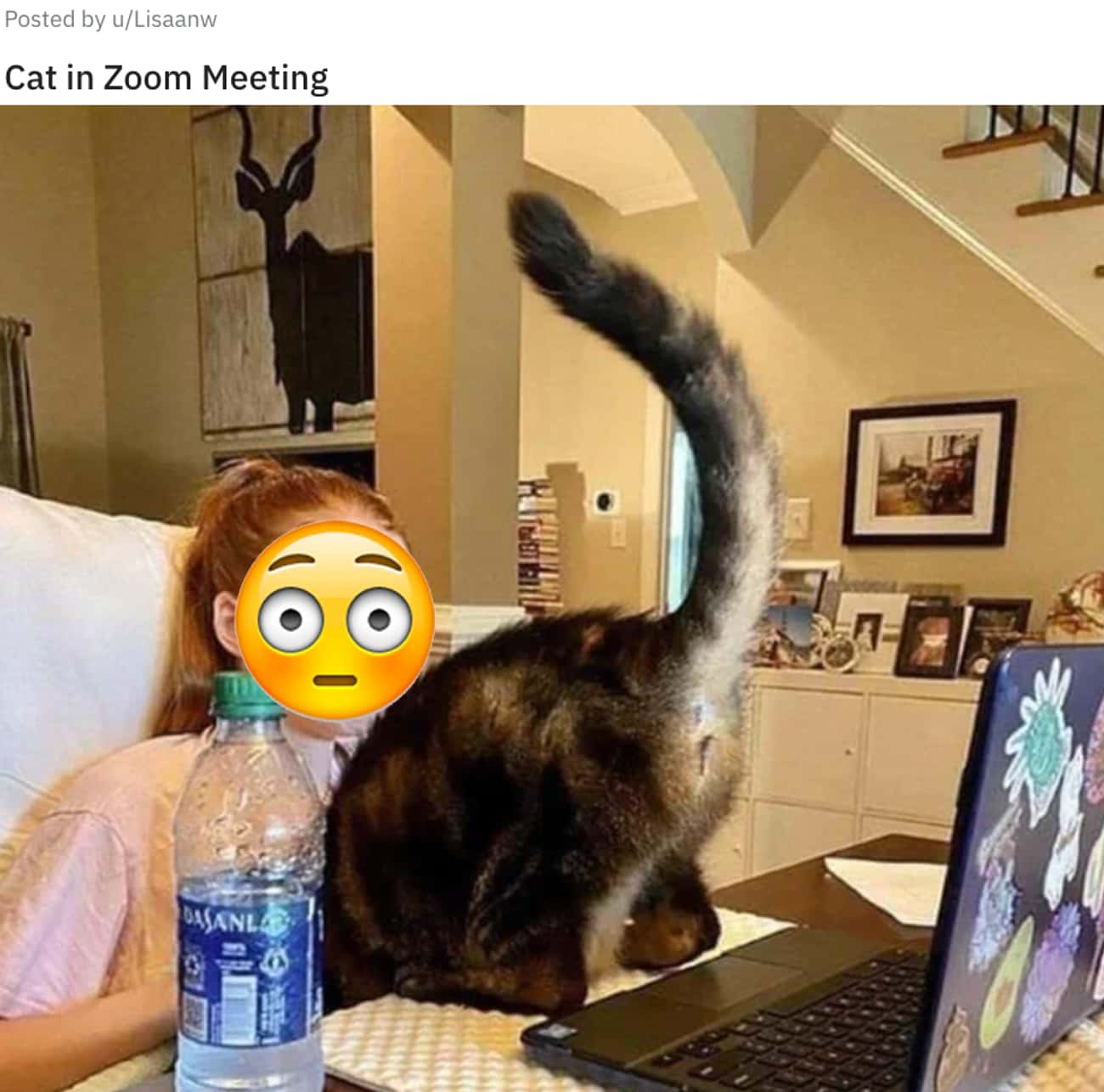 Oversharing During A Zoom Meeting