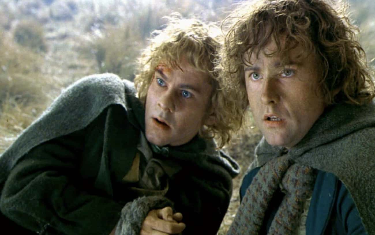 Merry And Pippin Returned To Rohan And Gondor And Are Buried Next To Aragorn