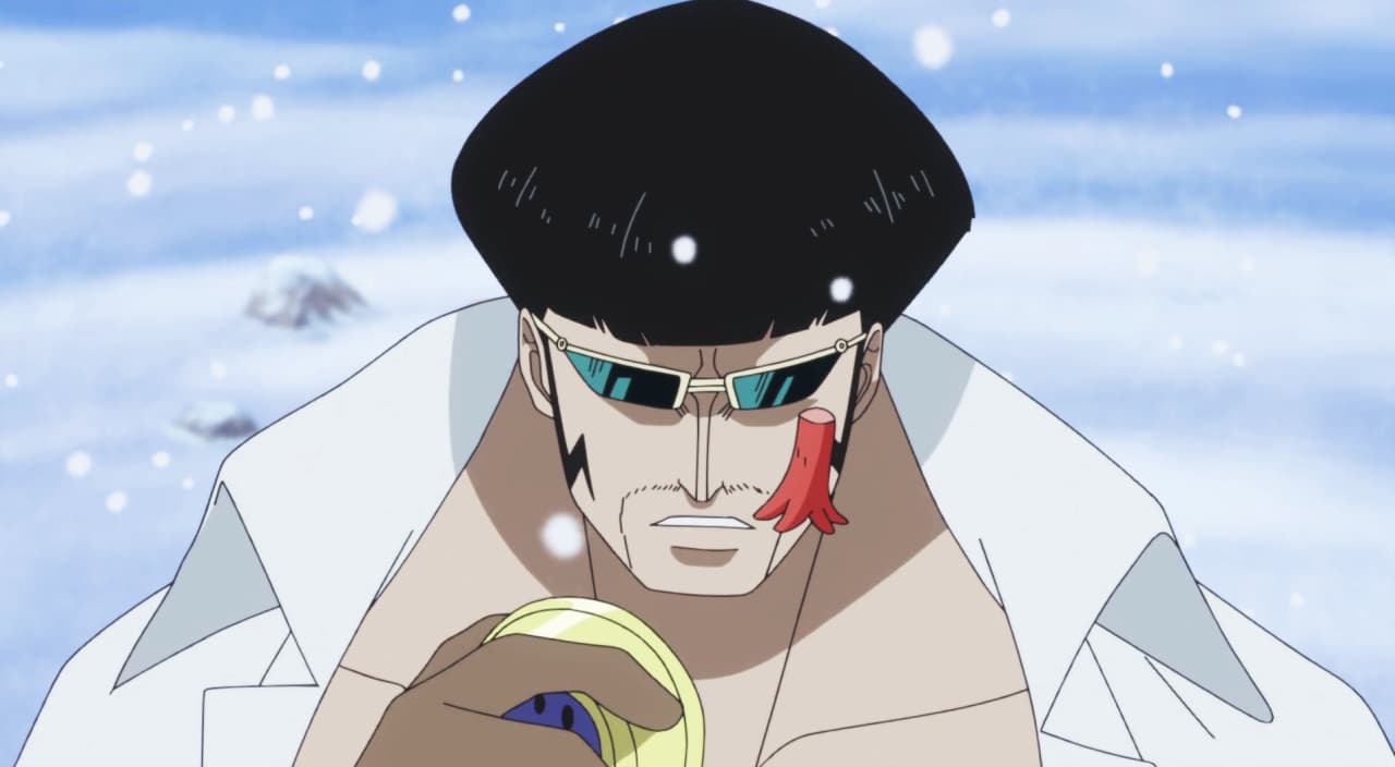 15 Things You Didn T Know About The Donquixote Pirates In One Piece