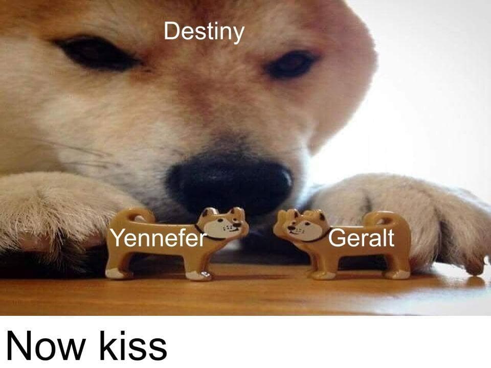 Comment bien éduquer son chiot pas à pas mois par mois  Vous souhaitez bien dre