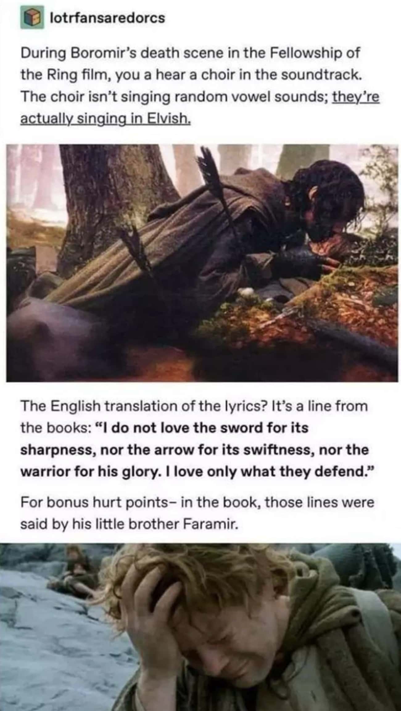 The Elvish Lyrics During Boromir's Last Scene Are Incredibly Depressing