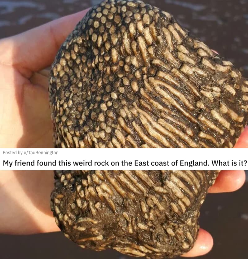 'My Friend Found This Weird Rock On The East Coast Of England. What Is It?'