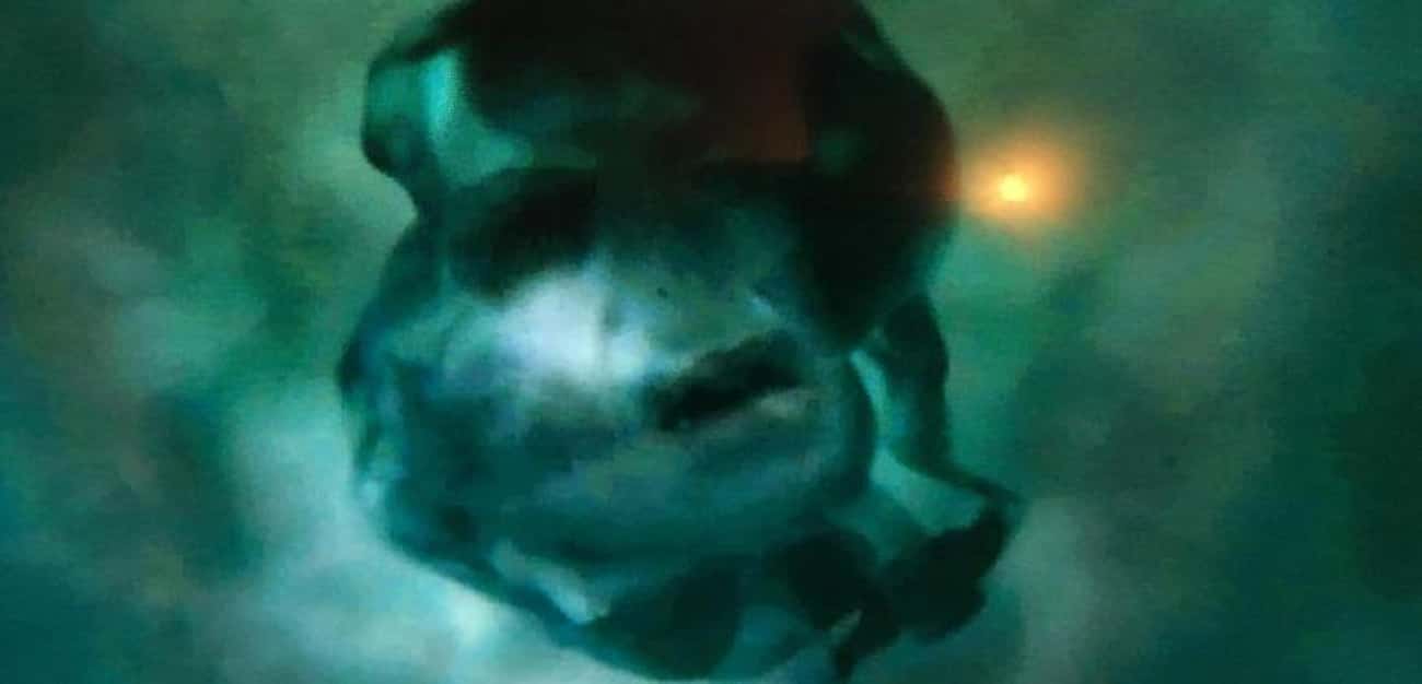 Voldemort's Face Briefly Appears During Tom Riddle Memory In 'Half-Blood Prince'