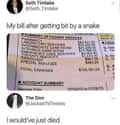 What's Worse - Snake Venom Or This Hospital Bill? on Random Hilariously Candid Tweets About Money That Are 'Worth' The Read