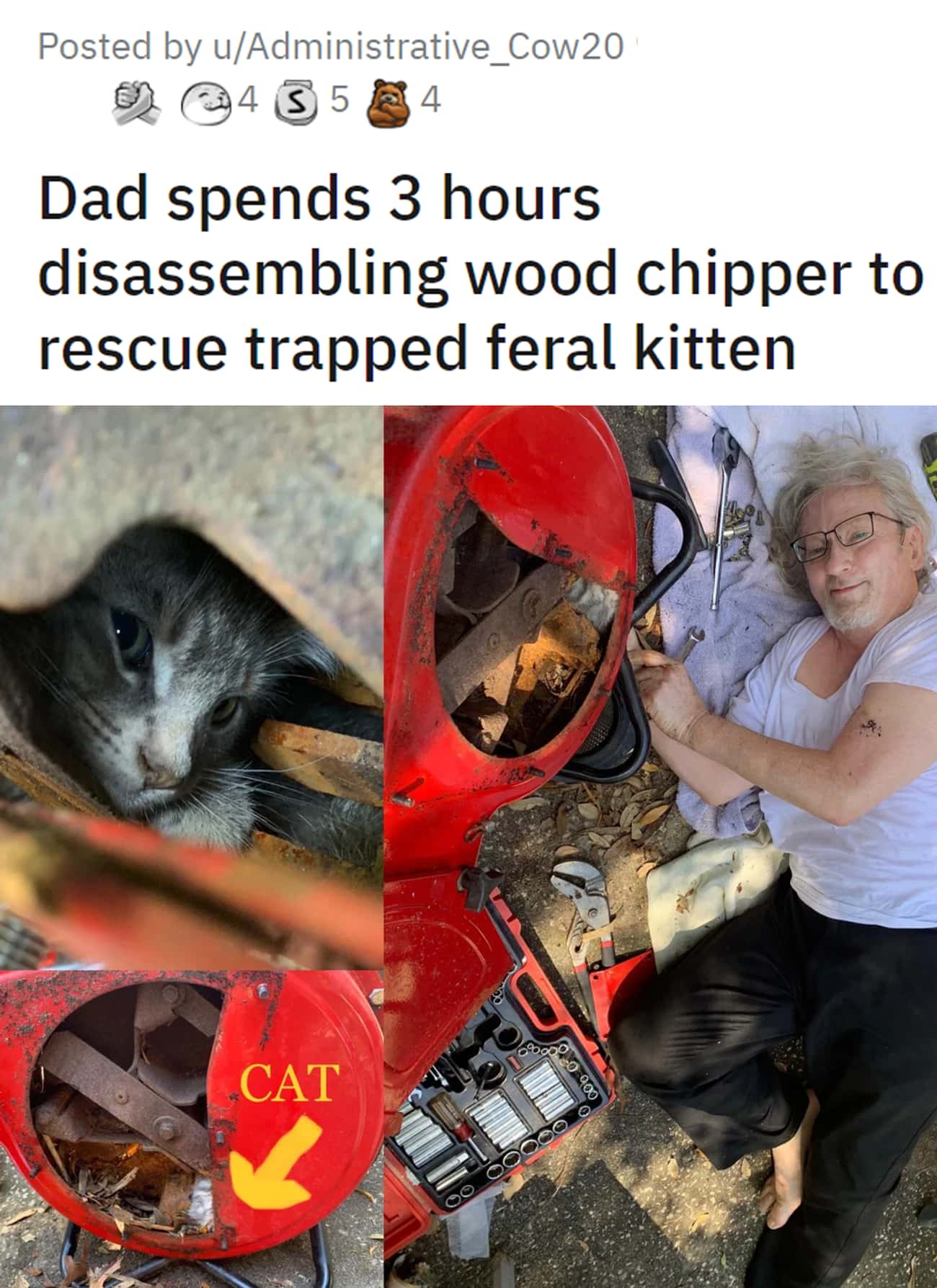 Rescuing Animals