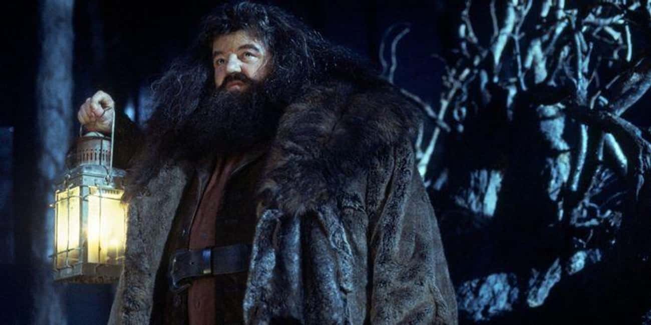 Hagrid Is The Only Person Who Has Ever Explored The Entire Forbidden Forest