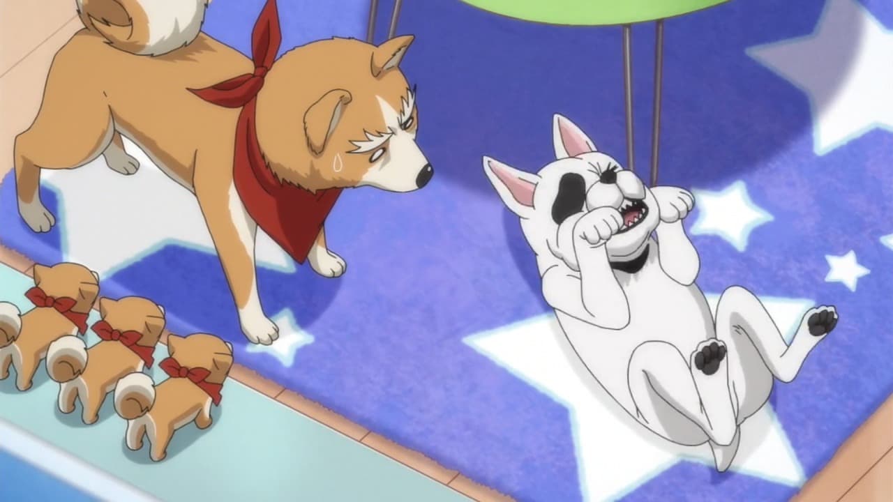 The 20 Best Anime With Animal Protagonists Ranked 686x386