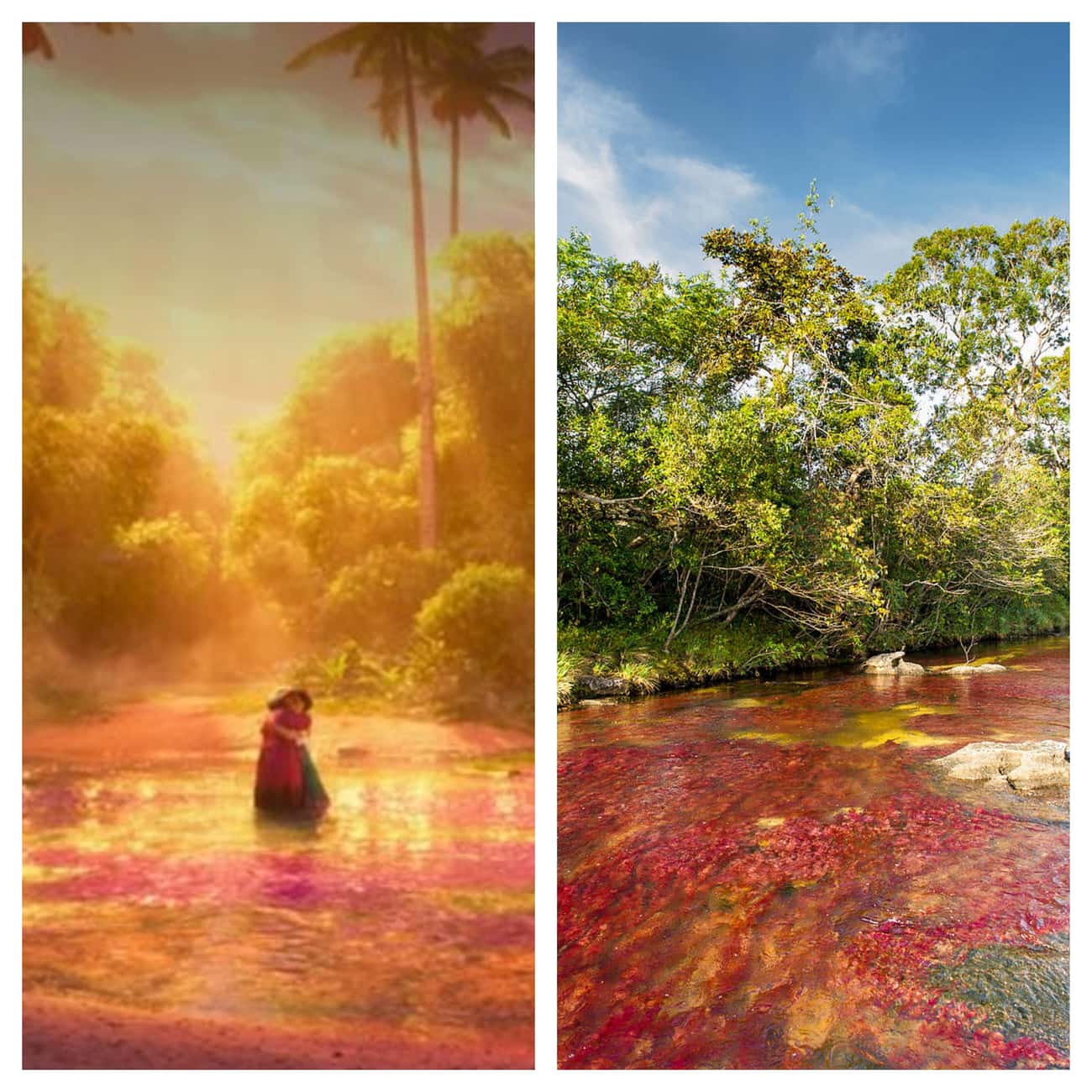 The Magical River From ‘Encanto’ Resembles Colombia’s ‘River Of Five Colors’ 