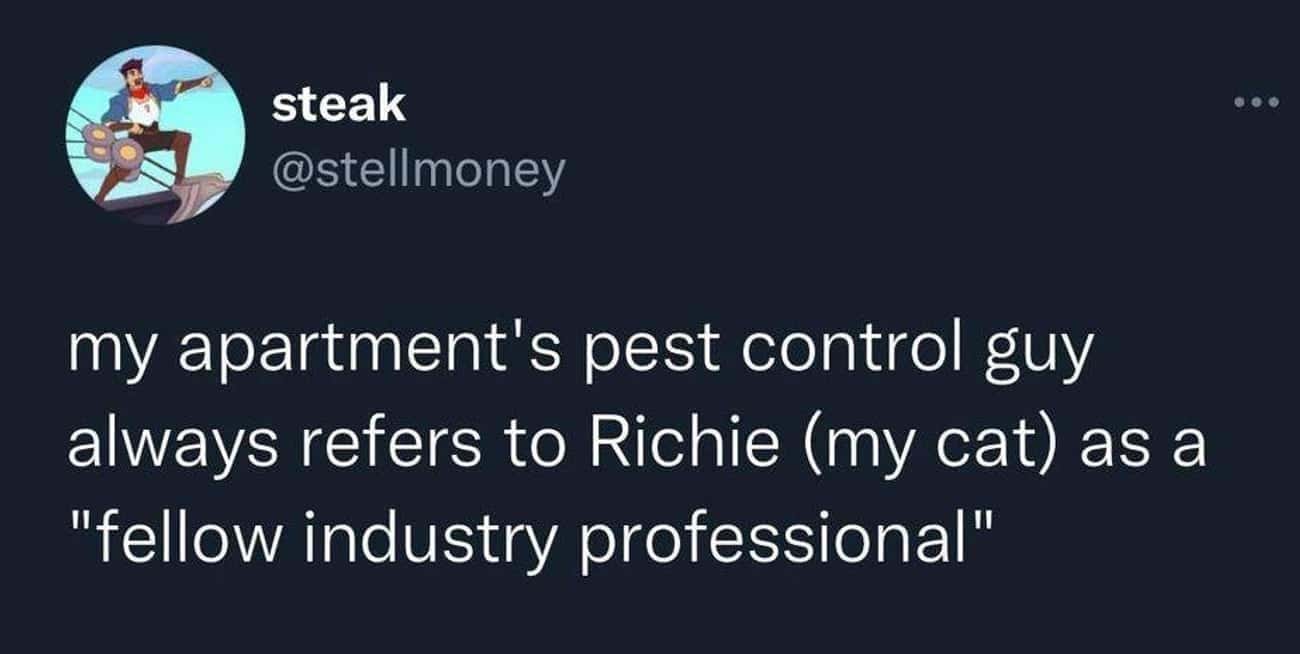 Richie Is An Expert In His Field