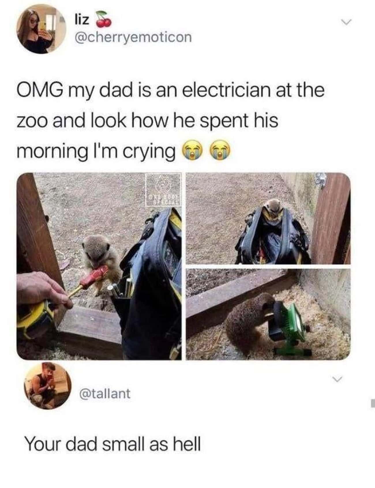An Extra Helper At The Zoo