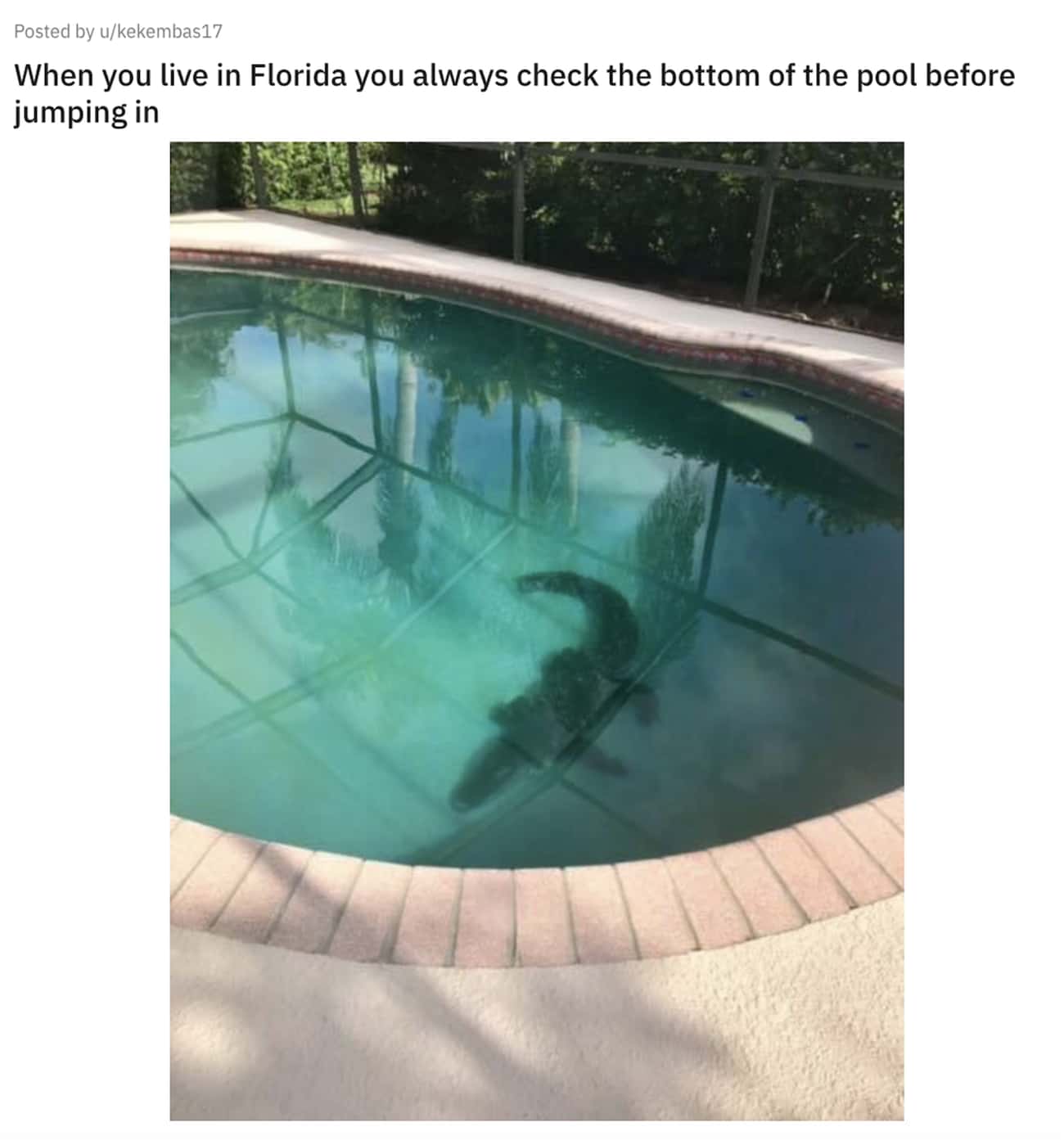 Lounging In The Pool