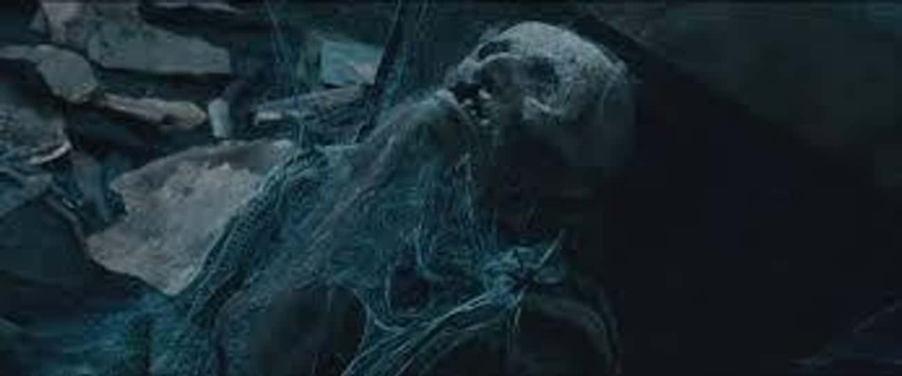 Ori's Decomposing Carcass Appears In 'Fellowship Of The Ring'