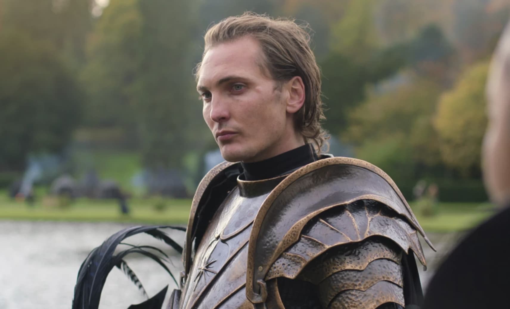 12 Things You Probably Didn't Know About Elves In 'The Witcher'