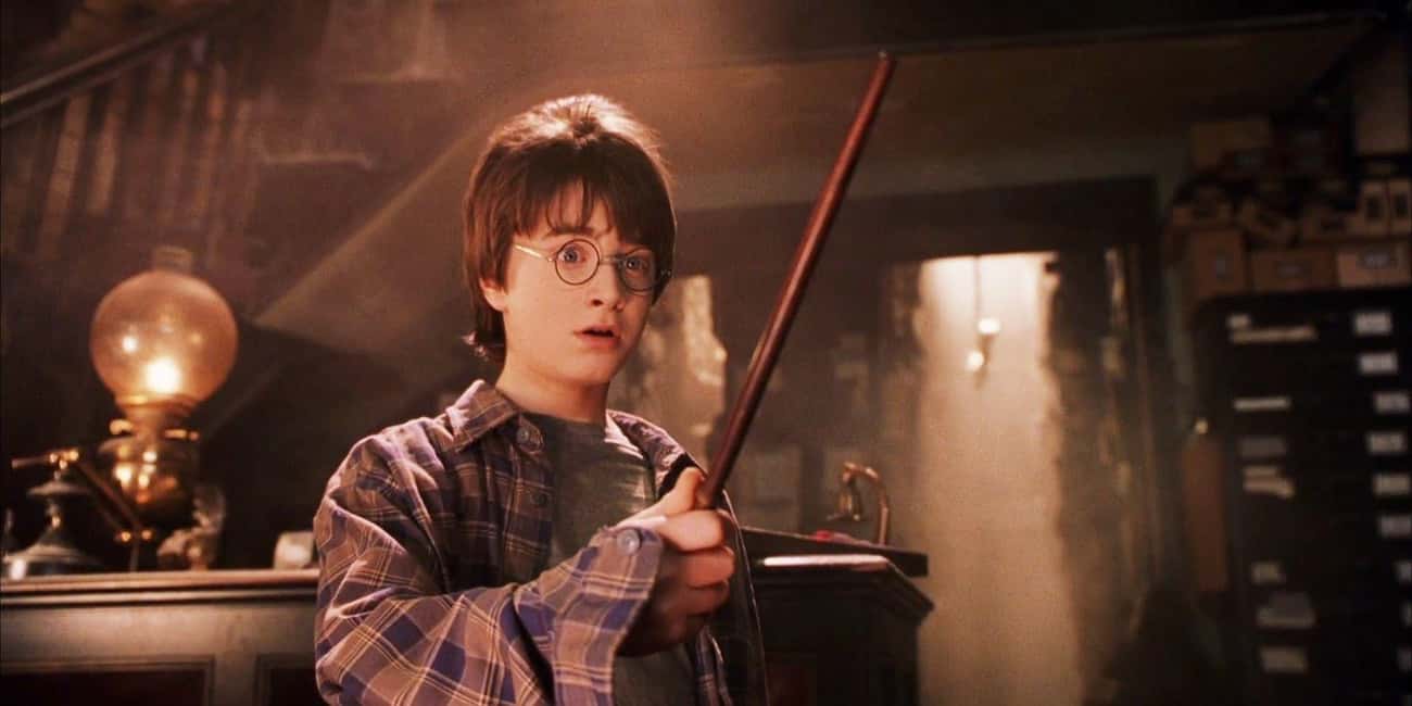  Wands In 'Harry Potter' Are Mandated In Order To Provide An Easy Method Of Enforcing The Law