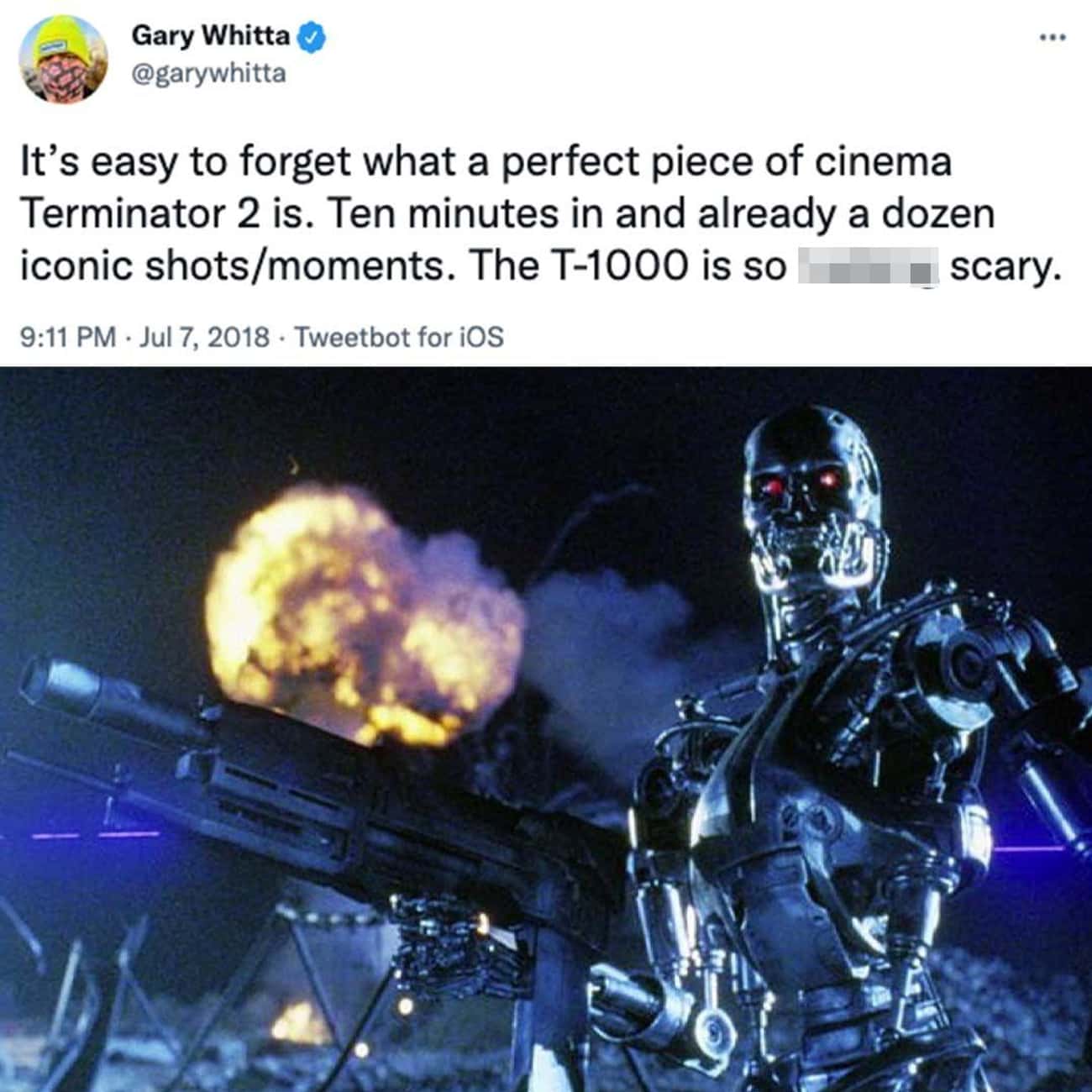 The Cinematography In ‘Terminator 2’ Was Incredible 