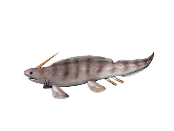 Sharks Are Older Than Trees