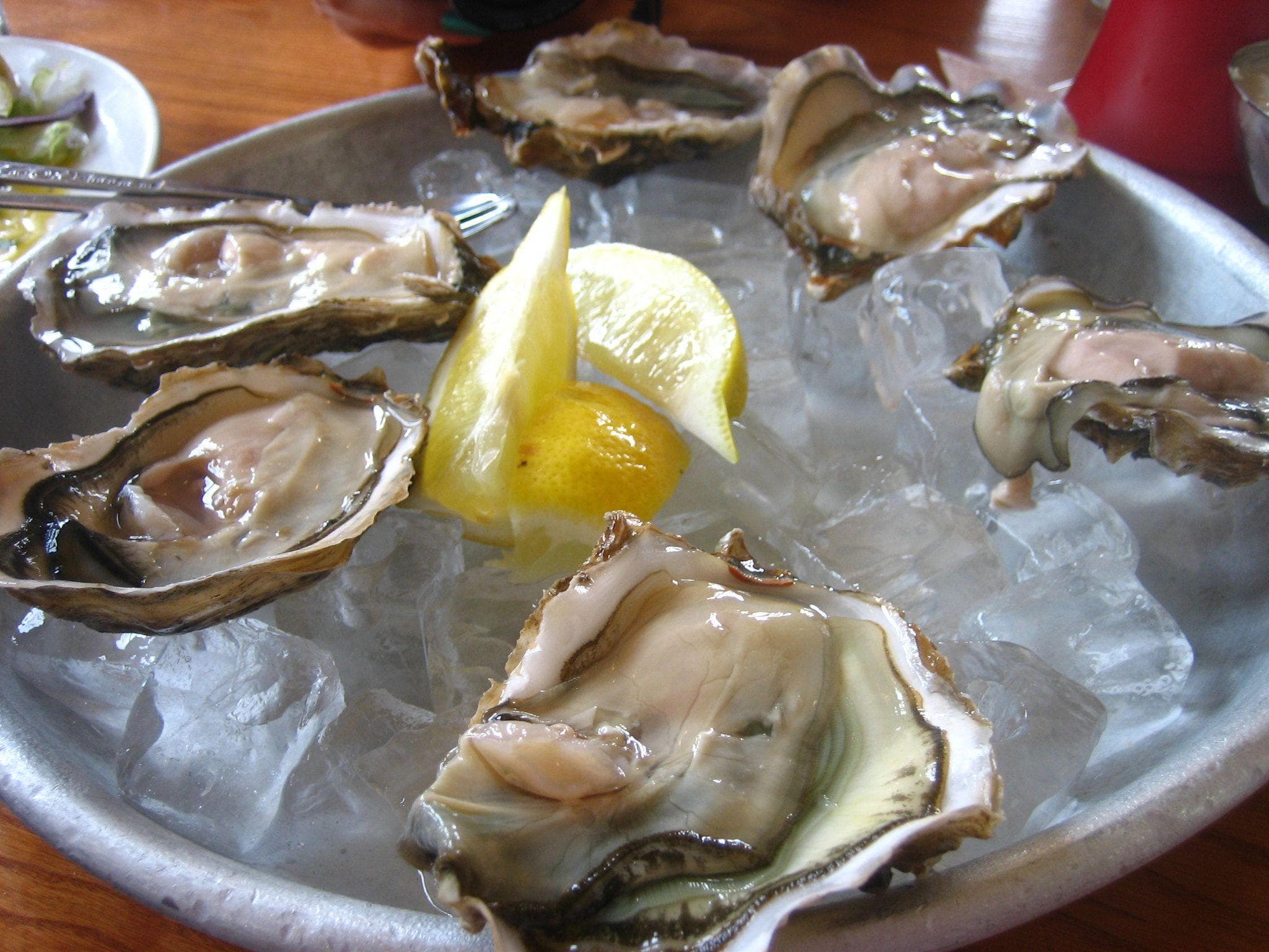 Cloudy Oysters Are Filled With Reproductive Fluids