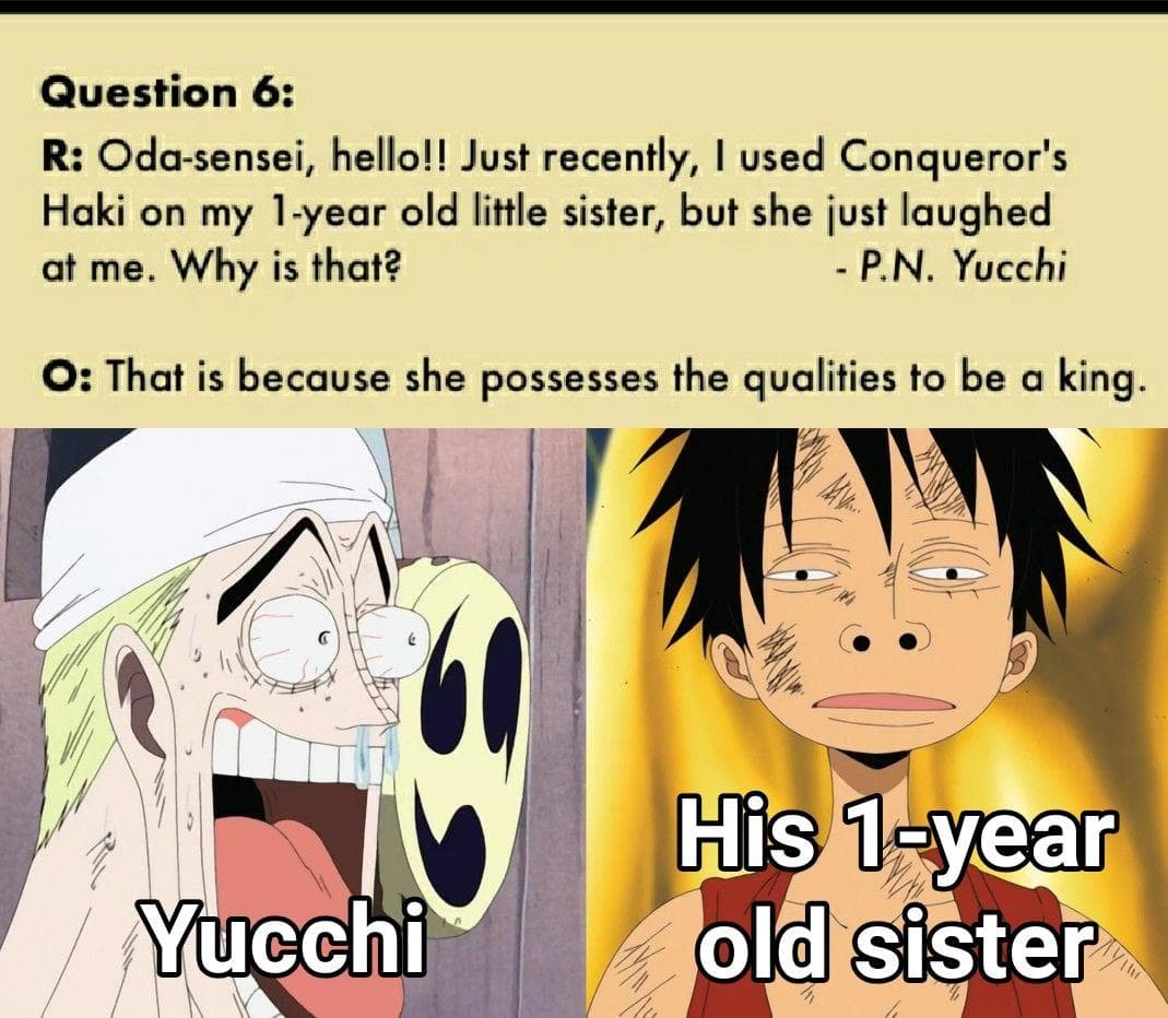 16 Funny 'One Piece' Memes We Saw This Month That Are Actually