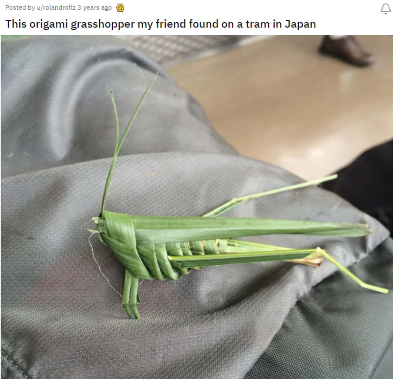 Origami Grasshopper In Japan