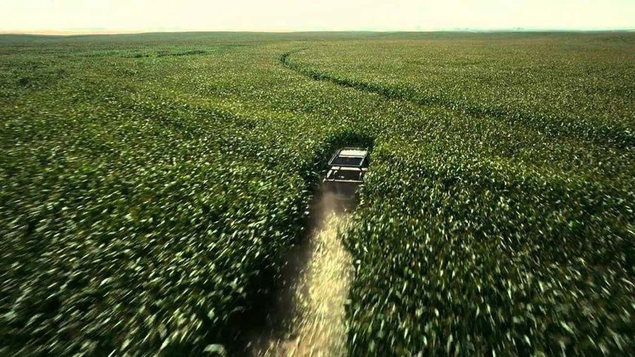 The Corn In 'Interstellar' Was Planted, Harvested, And Sold By The Film Crew