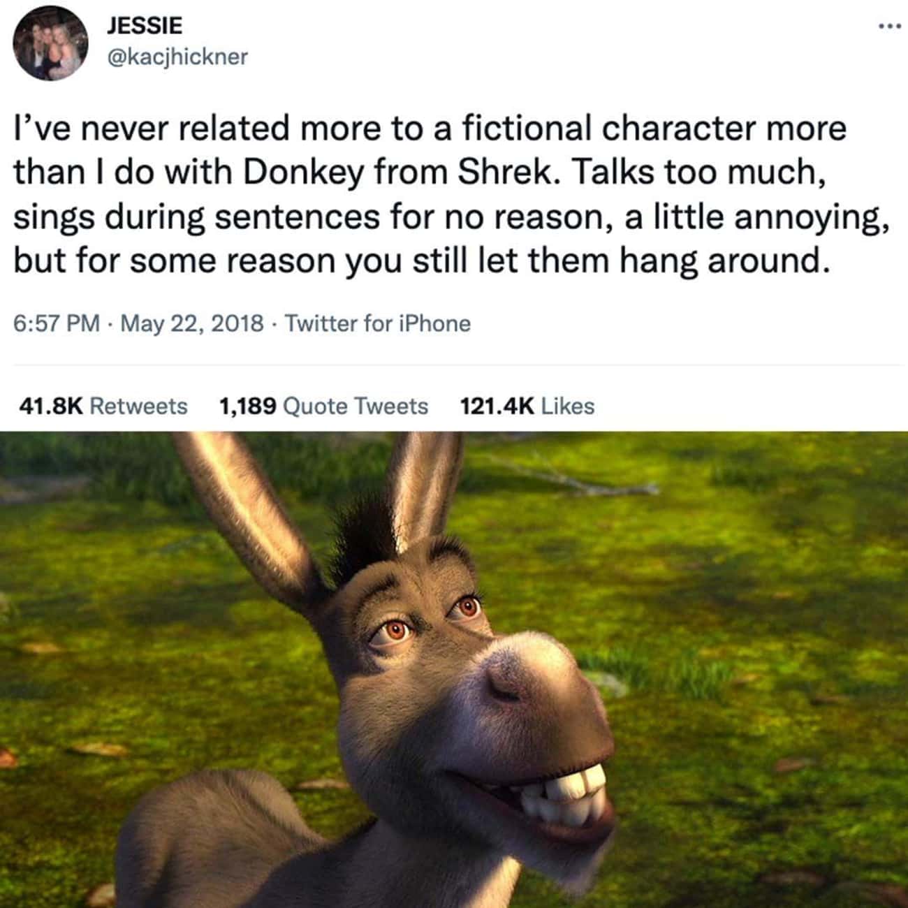 Donkey Is The Most Relatable Character In ‘Shrek’ 