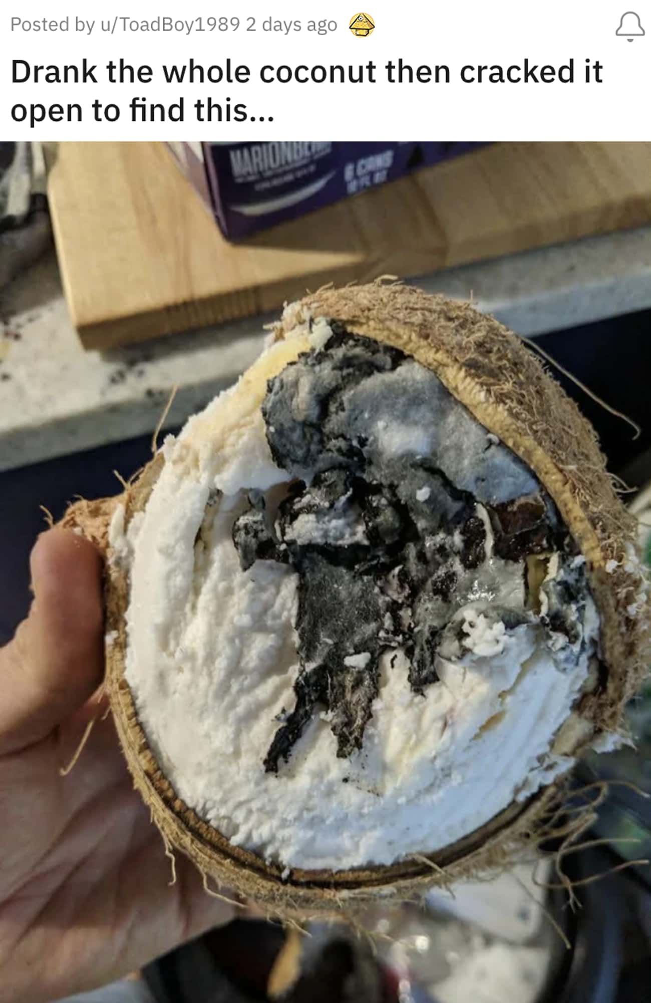 Very Moldy Coconut