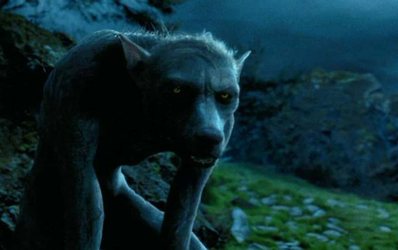 The Marauders Became Animagi To Support Lupin During His Werewolf Transformations