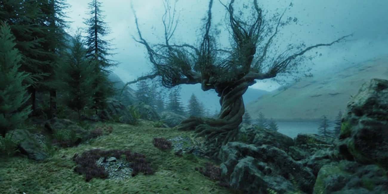 The Whomping Willow Was Planted For Lupin To Have A Safe Place To Transform Into A Werewolf