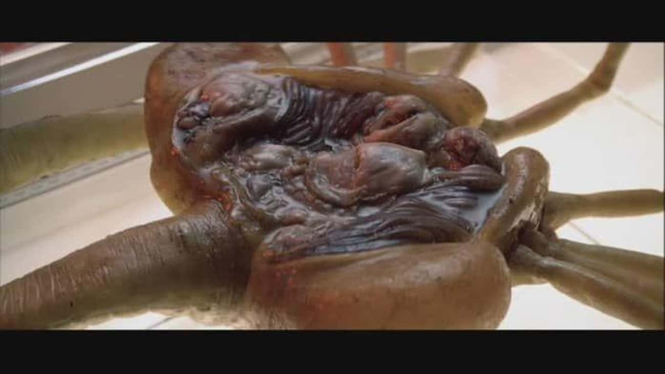 The Facehugger's Insides Were Made From Oysters