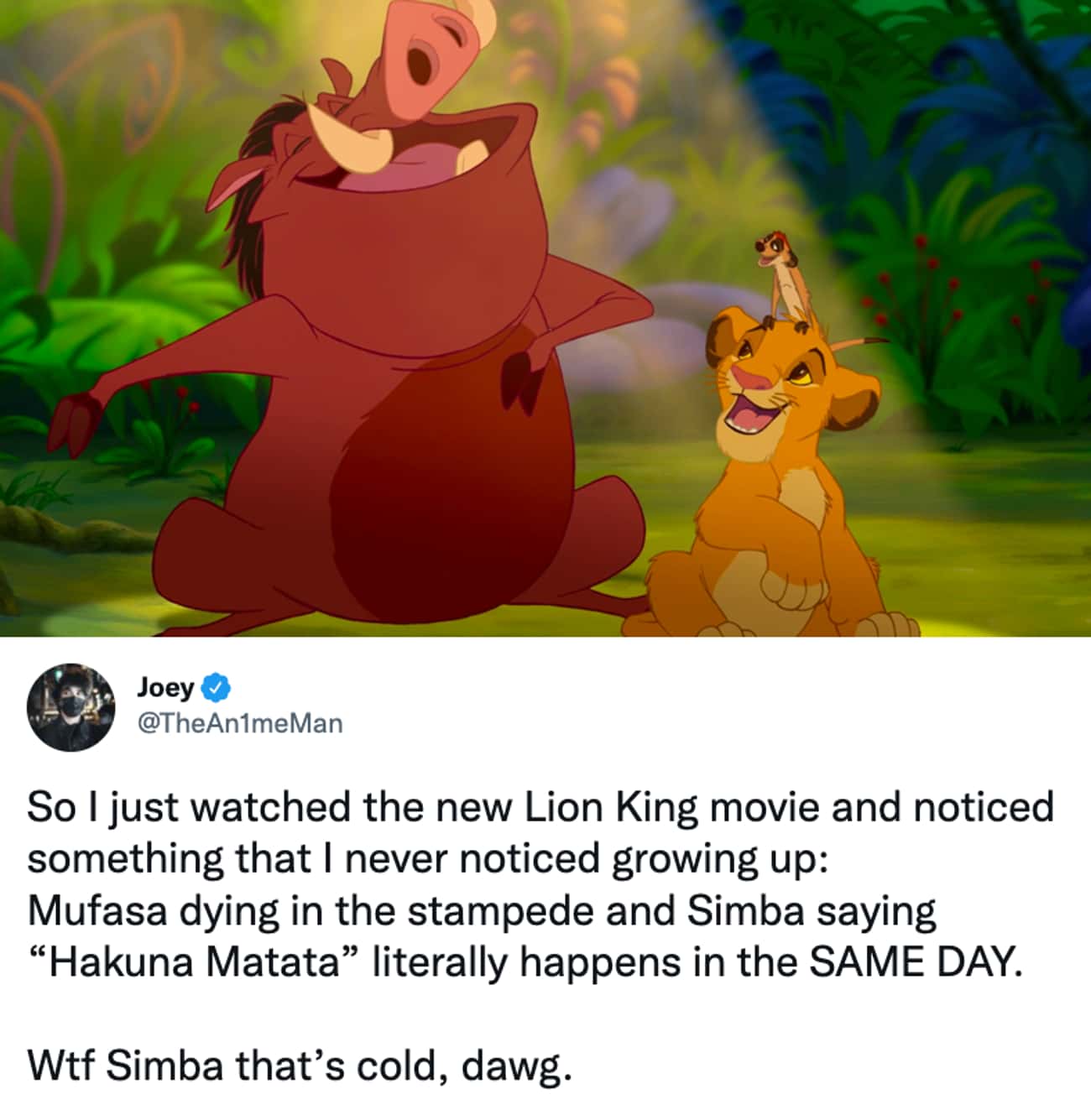 20 Royally Amusing Hot Takes About 'The Lion King' That Make A Really ...