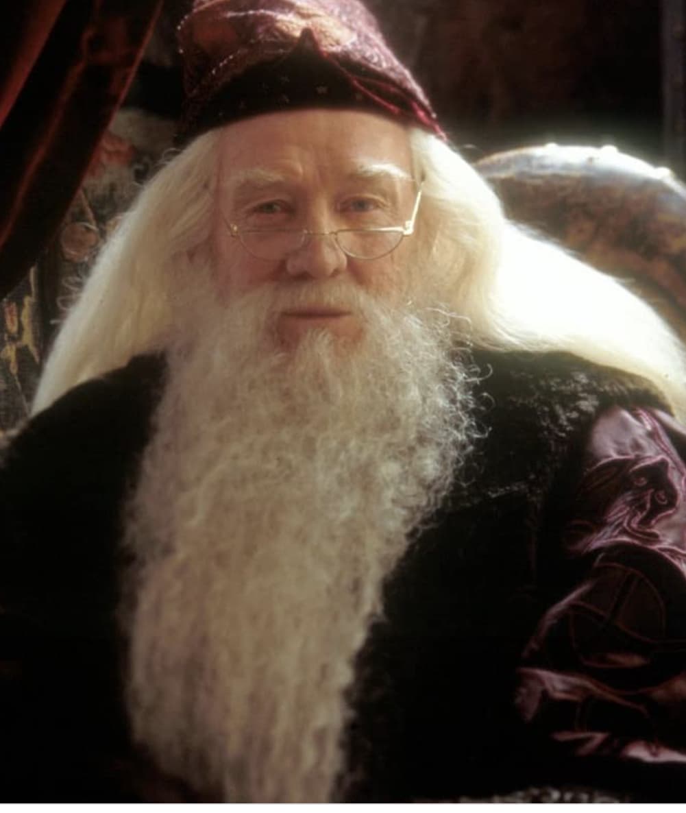 Дамблдор в молодости. Дамблдор и рон один человек. Профессор альбус дамблдор. Рон уизли это альбус дамблдор. Рон уизли это альбус дамблдор.