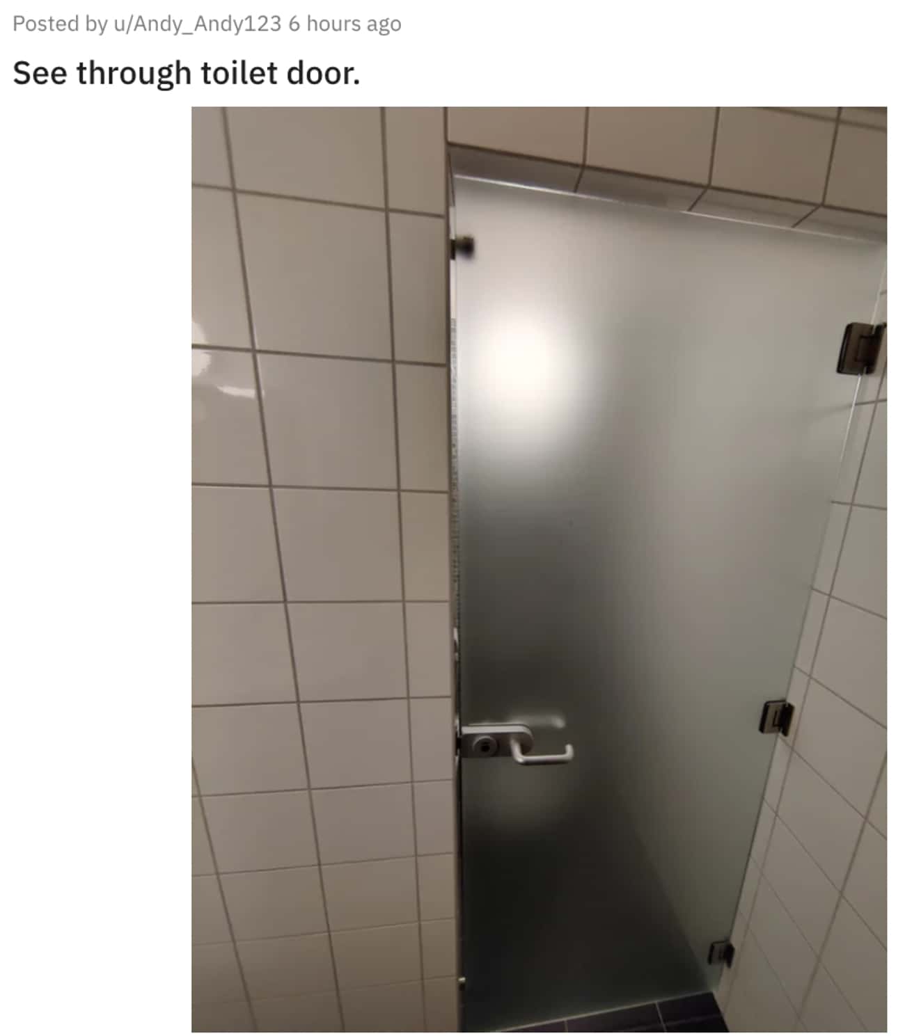See Through Toilet Door 