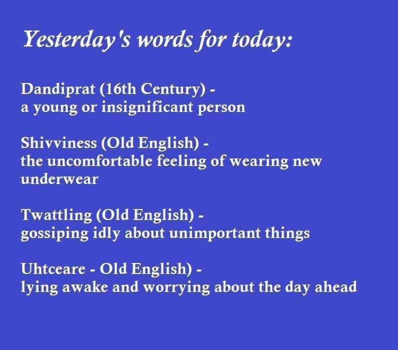 The Best Word Memes We Found That Actually Taught Us Something