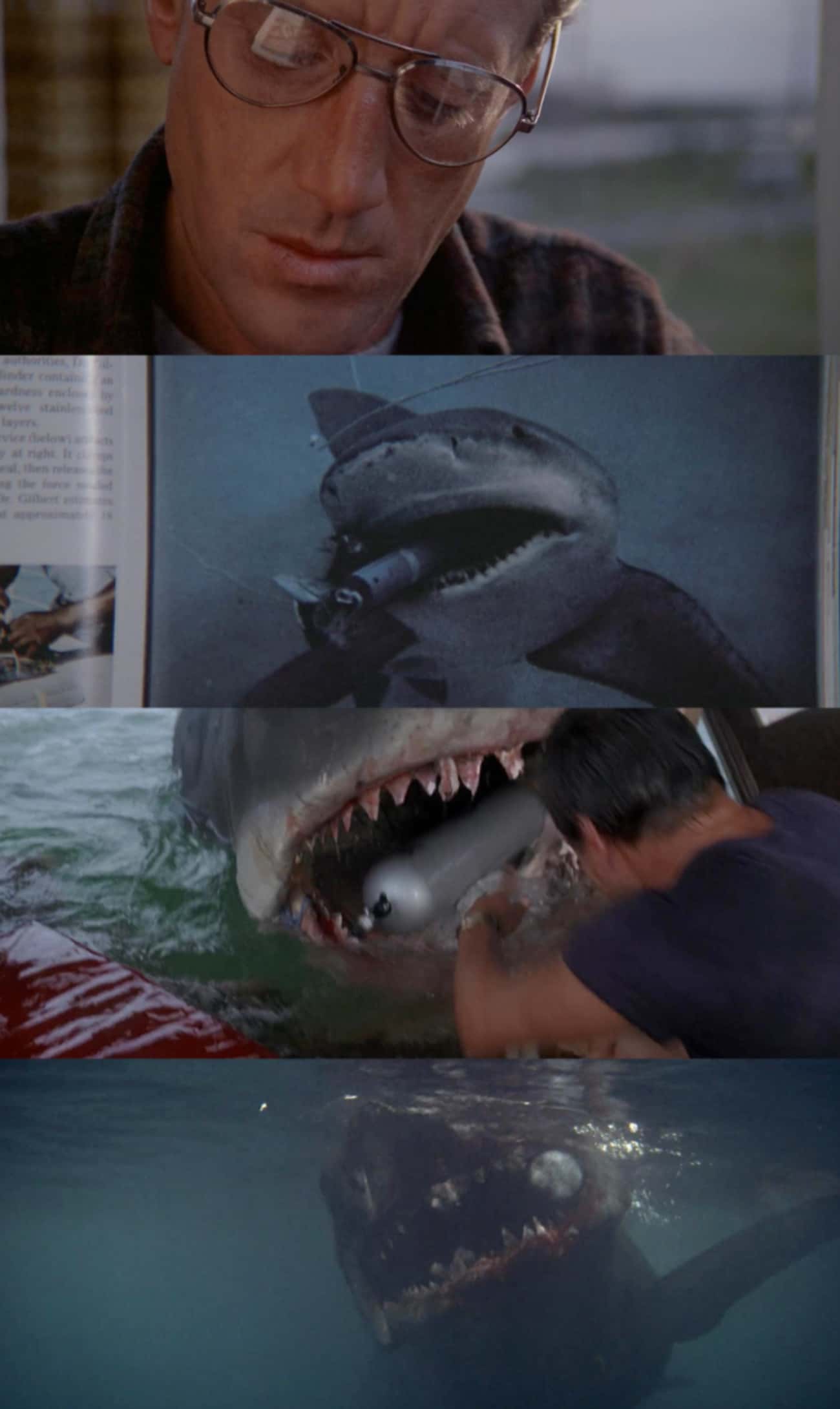 The Book Brody Reads In 'Jaws' Foreshadows The Ending