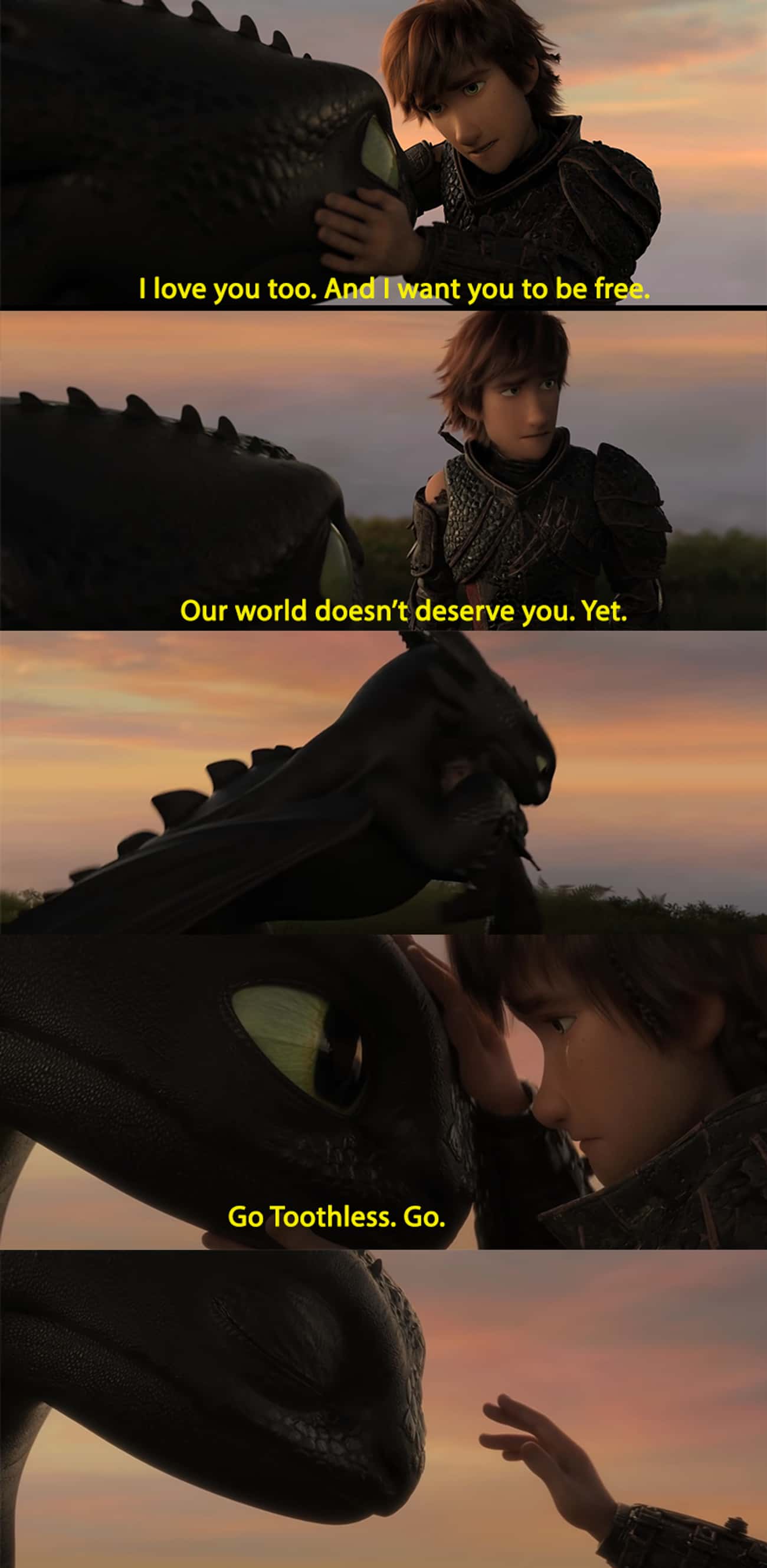 Hiccup Says Goodbye To Toothless 