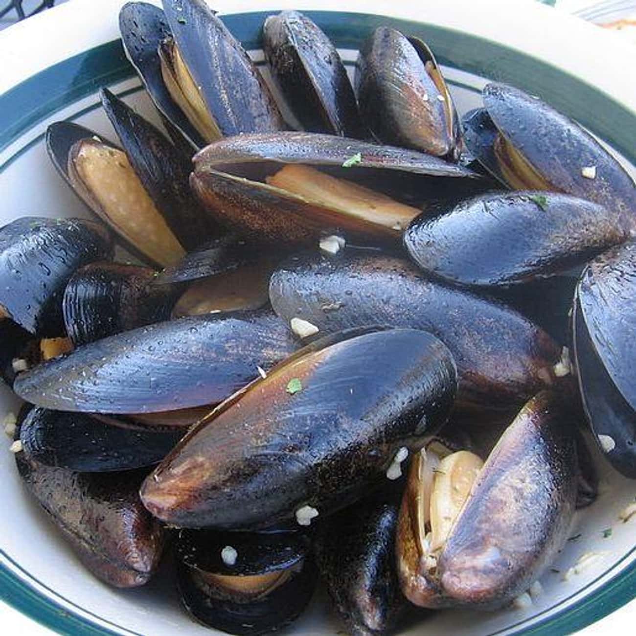 Mussels And Other Mollusks Contains Microplastics