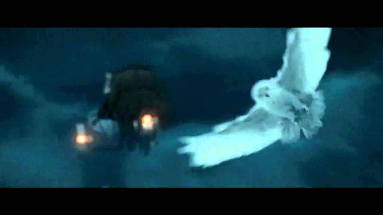 Hedwig Was Killed By Snape Because He Was Giving Away The Real Harry's Location