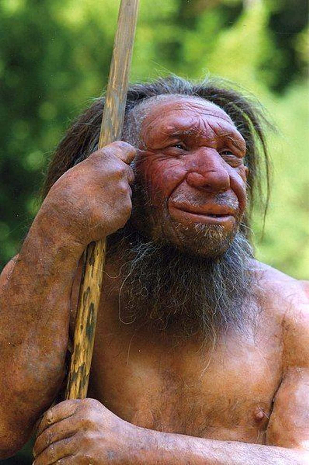 Did Neanderthals Have Any Religious Beliefs?