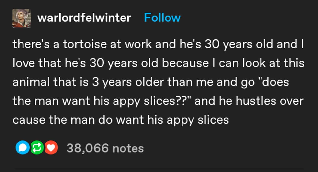 Appy Slices