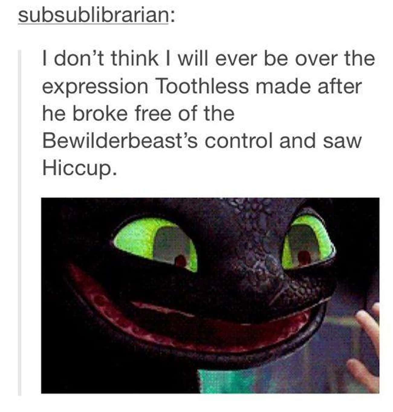 The Priceless Expression Toothless Made 