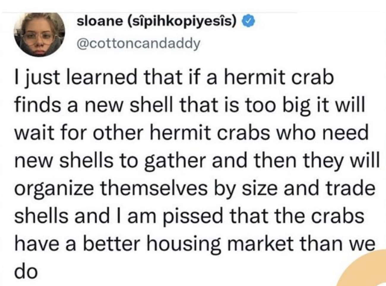 Hermit Crabs Really Do It Right
