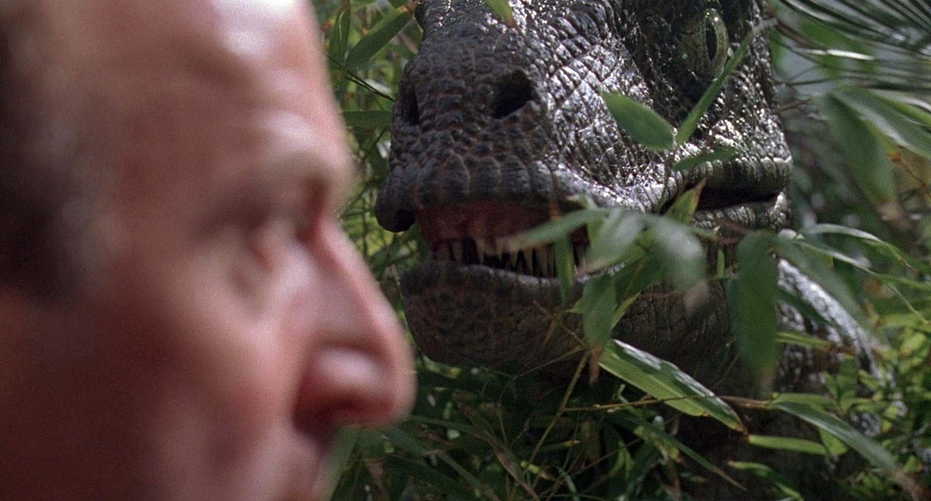 15 Fan Theories About The 'Jurassic Park' Franchise That Make Our ...