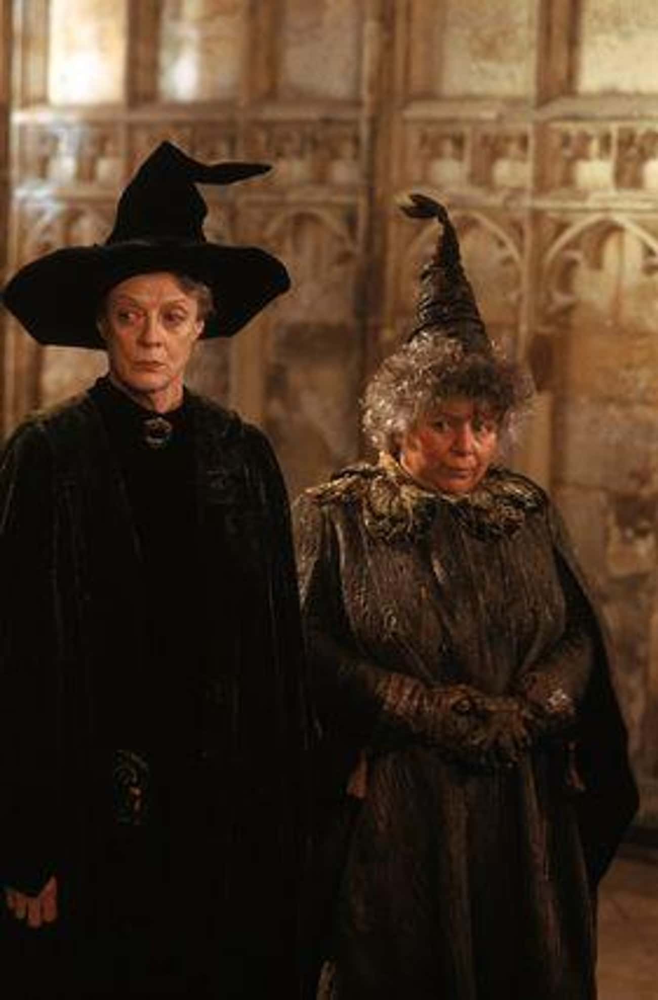 Professor Sprout And Professor McGonagall Use Herbology And Transfiguration As A Line Of Defense In The Battle Of Hogwarts