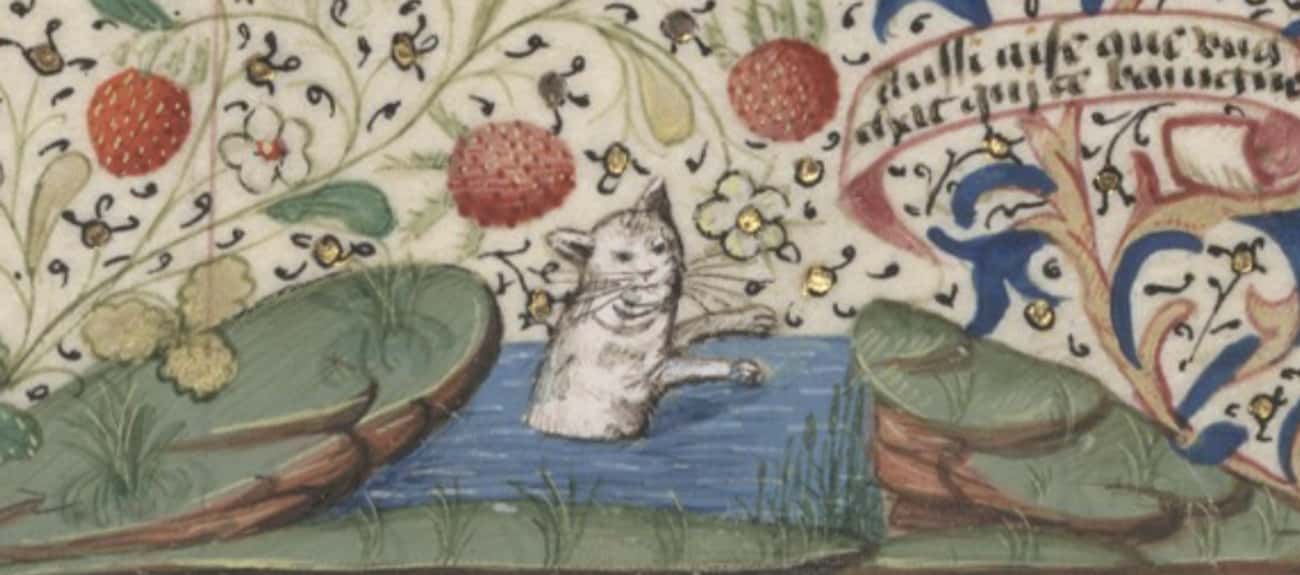 A Swimming Cat (15th Century)